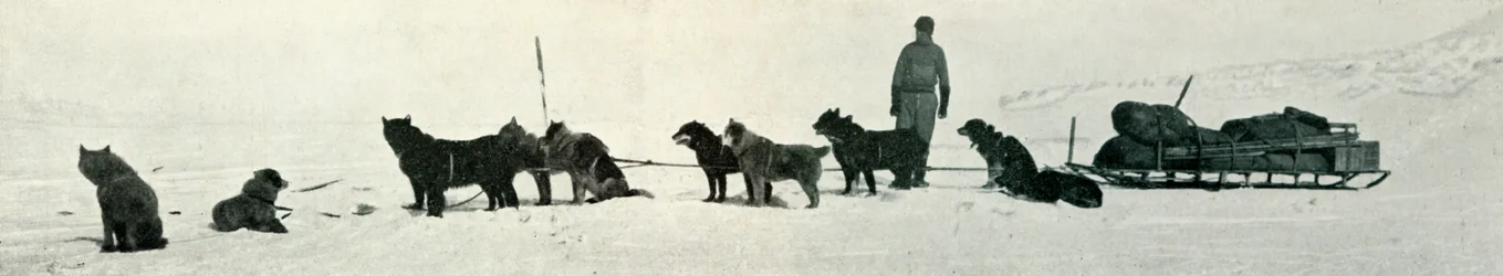 Dogs with Stores About to Leave Hut Point