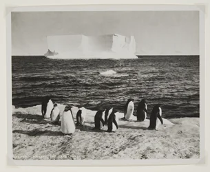 Drifting Iceberg off Cape Royds