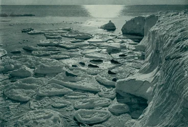 Seals Basking on Newly Formed Pancake Ice Off Cape Evans