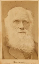 Portrait of Charles Darwin