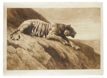 The Watcher on the Hill