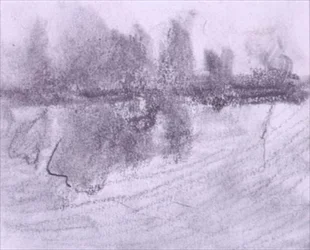 A Group of Trees Reflected in Water