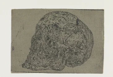 A Skull