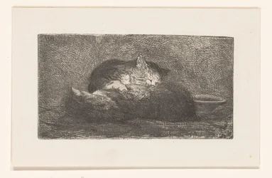 Two Cats