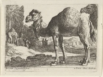 Camels (series: Landscapes with Animals)