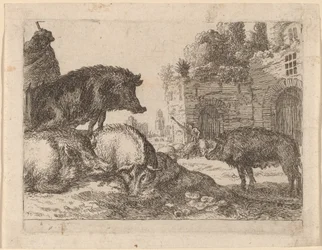 Pigs