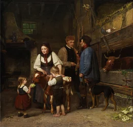 The Sold Calf