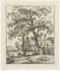 Farm and Shepherd