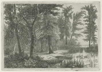 Forest Scene with a Pond with Ducks