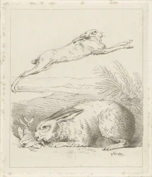 Hare and Rabbit