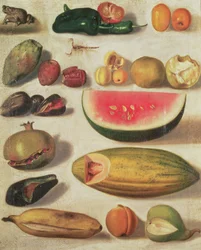 Still Life with Fruit and Toad