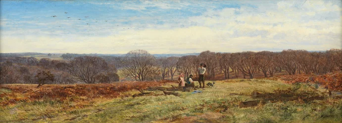 In the New Forest, Hampshire