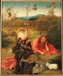 Saint John Baptist in Meditation