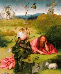 Saint John the Baptist in the Desert