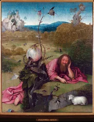 Saint John the Baptist in the desert