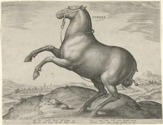 Horse from Scythia