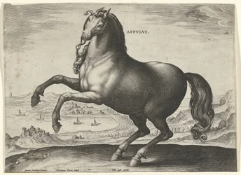Horse from Southern Italy (Appulus)