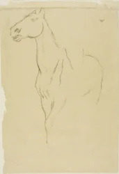 Horse Turned Three-Quarters