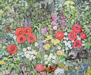 Hedgehog amongst the Flowers