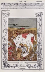 The Cow