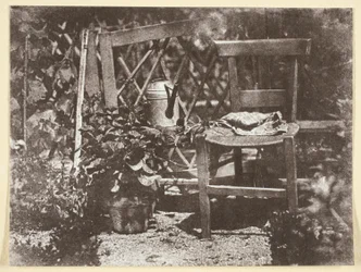 Chair in a Garden