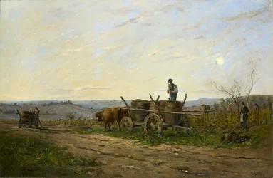 Harvesting in the Morning