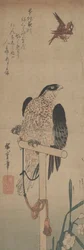 Falcon on Perch, Sparrow, and Narcissus