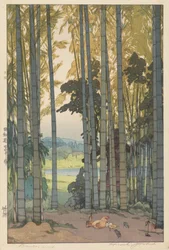 Bamboo Wood