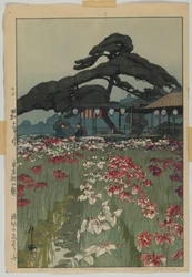 Iris Garden in Horikiri, from the series, Twelve Scenes of Tokyo, Showa era