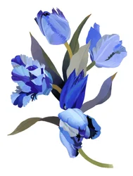 Blue Tulip