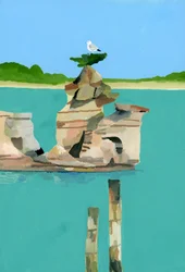 Seagull Resting