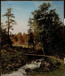 A Forest Landscape from Hauho