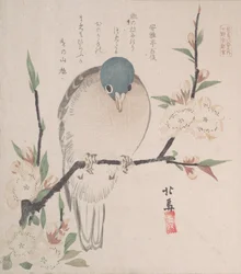 Spring Rain Collection Harusame Shu, vol. 3: Mountain Dove and Peach Flowers