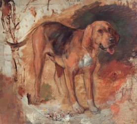 Study of a Bloodhound