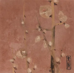 Plum blossoms