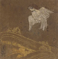 Waves and Bird