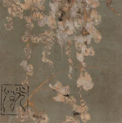 Wisteria Blossoms