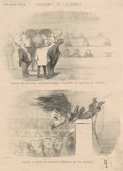 Occupation of the Representatives