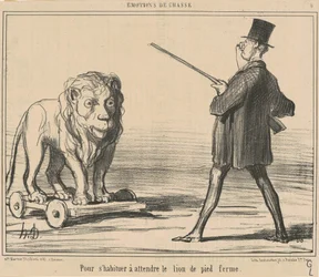 To Get Used to Waiting for the Lion...