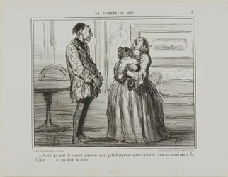 "- I am not afraid for me, but if I think of poor Azor who will perish on the 13th of June... it simply breaks my heart," plate 8 from The Comet of 1857