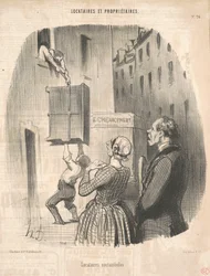 Nocturnal Tenants