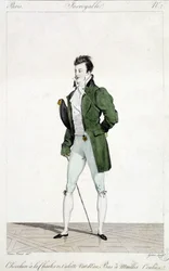Amazing Paris. Man has the hair of Charles XII, wearing water green panties and flowed mesh stockings. Illustration of men