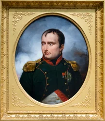 Portrait of the Emperor Napoleon I