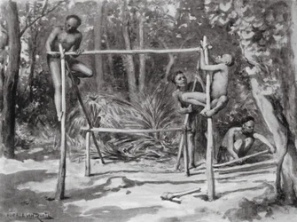 The Dawn of Life, Building a Home