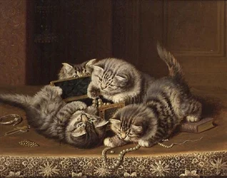 Kittens