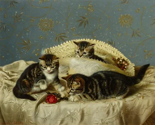 Kittens up to Mischief