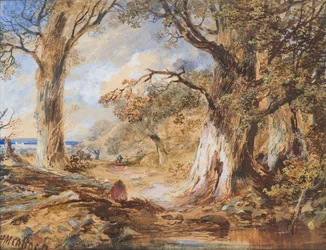 The Edge of the Wood