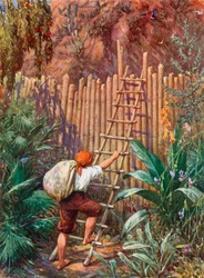 Illustration for Robinson Crusoe