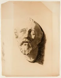 Drawing of Cast of Male Head