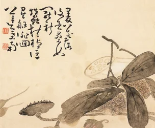 Painted album leaf - Lotus plant, 18th century